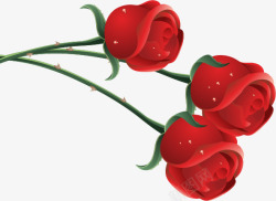 三朵红玫瑰三朵红玫瑰高清图片