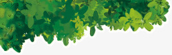 水彩画绿色林荫枝叶素材