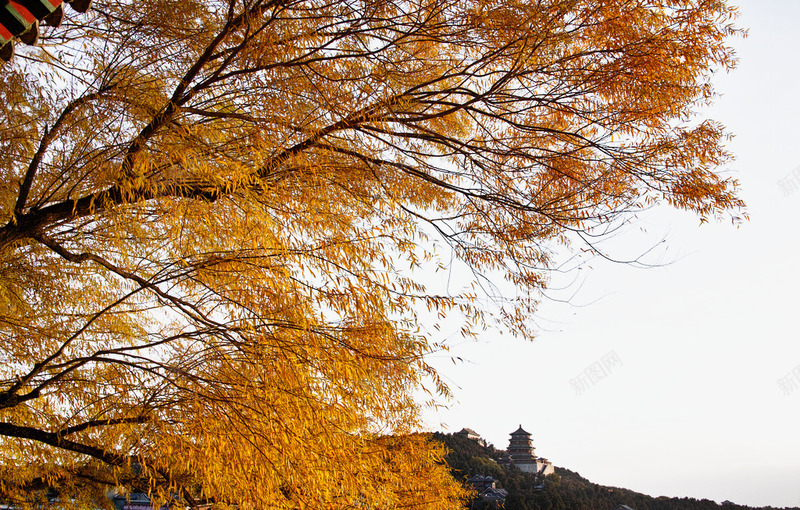 颐和园png免抠素材_新图网 https://ixintu.com 北京 旅游 自然风光