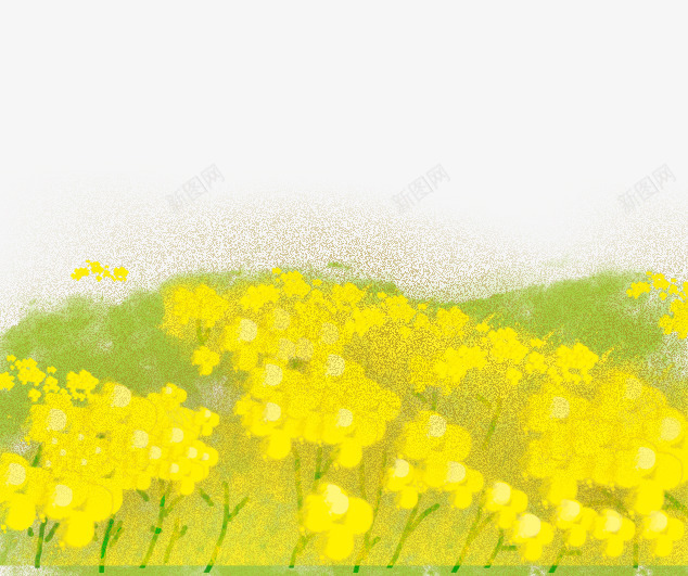 卡通手绘黄色油菜花png免抠素材_新图网 https://ixintu.com 免抠花田 卡通 手绘 油菜花 绿色的叶子 金黄色的花朵 黄色