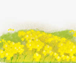 卡通手绘黄色油菜花素材