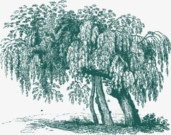 柳树素描素描柳树元素高清图片