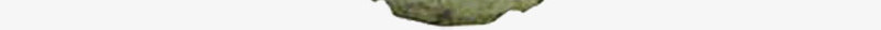 绿色树叶室内植物装饰png免抠素材_新图网 https://ixintu.com 室内 树叶 植物 绿色 装饰