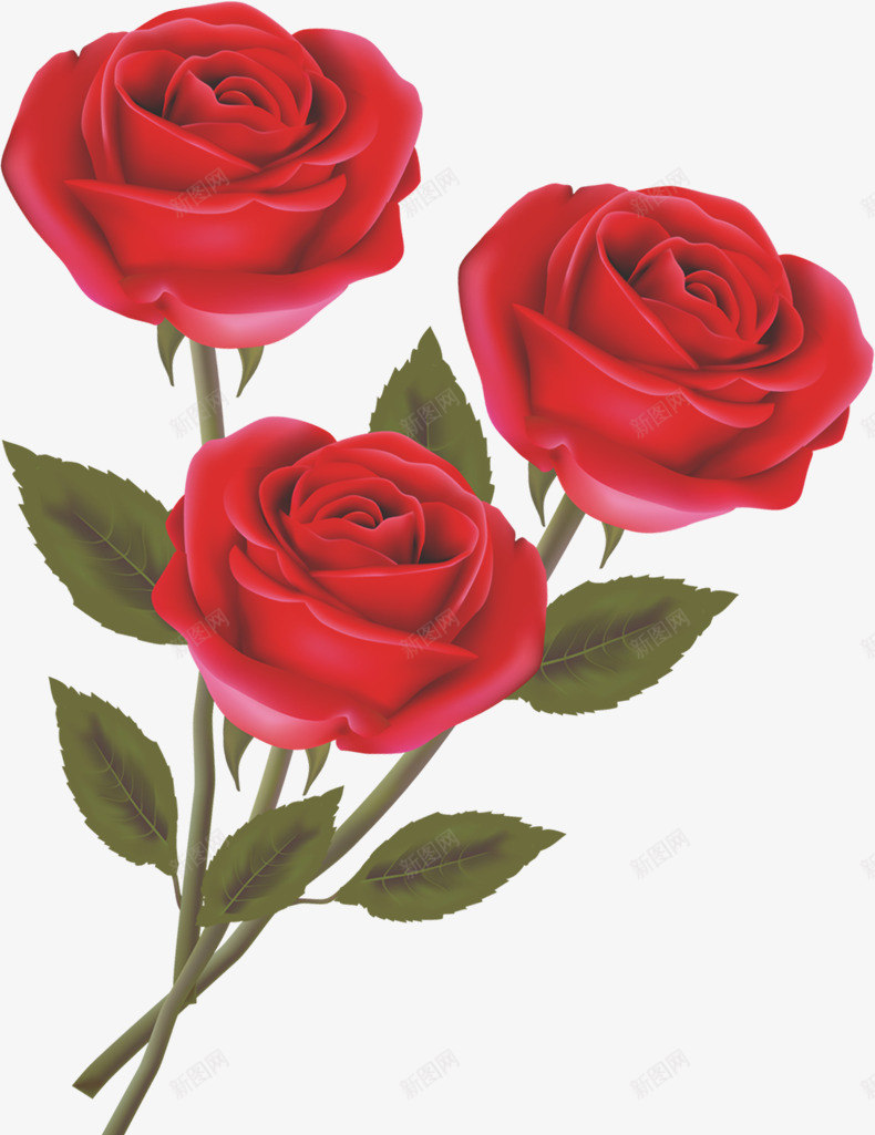 手绘红色玫瑰花朵png免抠素材_新图网 https://ixintu.com 玫瑰 红色 花朵