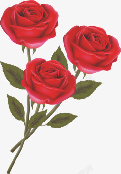 手绘红色玫瑰花朵素材