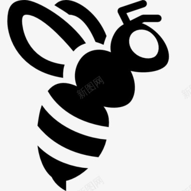 蜜蜂Windows8icons图标图标