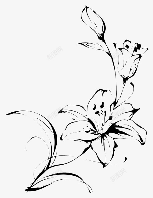 中国风手绘花朵png免抠素材_新图网 https://ixintu.com 典雅花儿 创意艺术品 手绘花朵 绽放的花儿 花朵 花苞