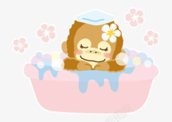 动物猴洗澡的小猴子素材
