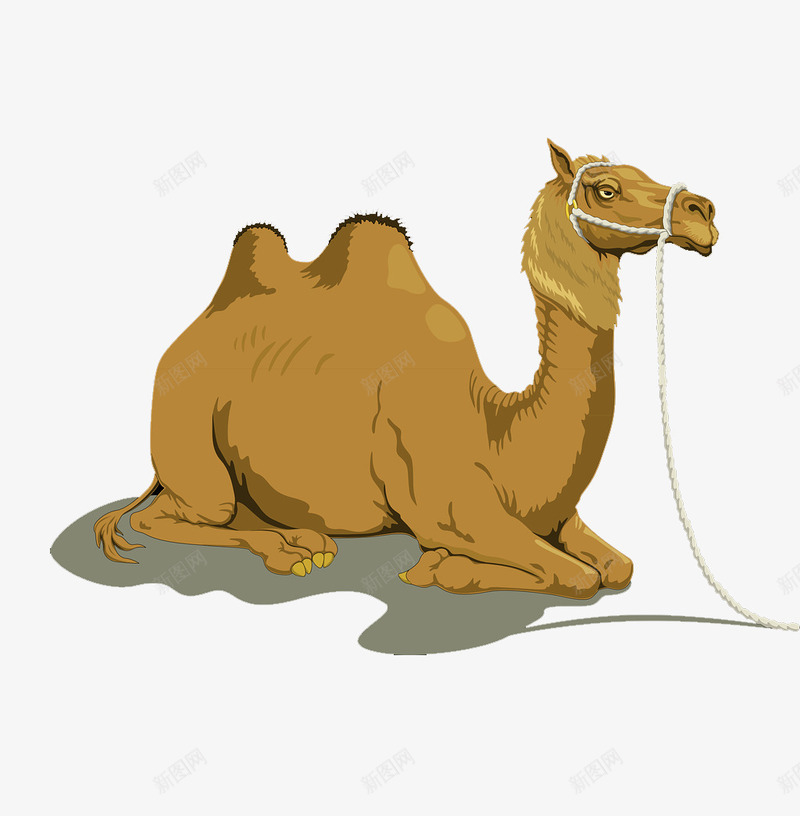 沙漠动物骆驼png免抠素材_新图网 https://ixintu.com png图片 动物 沙漠 驼峰 骆驼