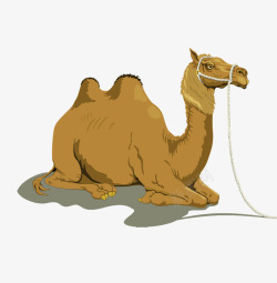 沙漠动物骆驼素材