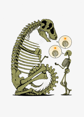 恐龙化石与骷髅对话png免抠素材_新图网 https://ixintu.com 交流 化石 卡通 恐龙 骷髅架