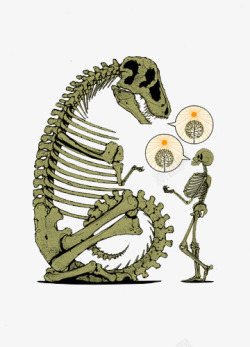 骷髅架恐龙化石与骷髅对话高清图片
