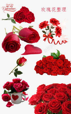 合成创意红色的玫瑰花形状素材