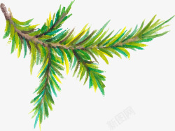 一株树枝手绘插图一株树枝叶高清图片