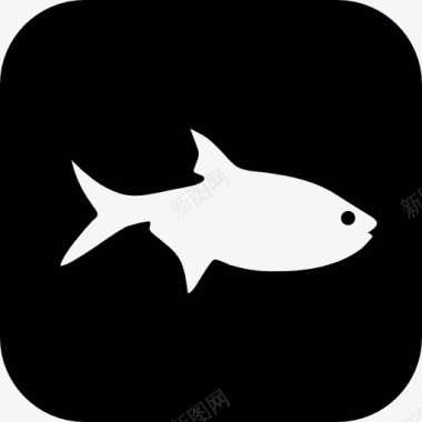 鱼的象征图标图标