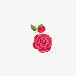手绘红色示爱玫瑰花素材