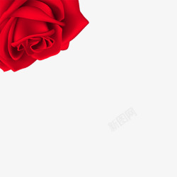 红色花朵边框装饰元素素材
