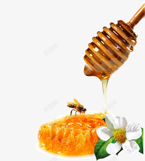 蜂巢上的蜜蜂png免抠素材_新图网 https://ixintu.com 搅拌棒 甜味 花朵 蜂巢 蜜蜂