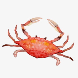 手绘水彩螃蟹素材