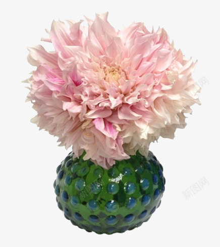 粉色花朵png免抠素材_新图网 https://ixintu.com 植物 粉色花 花瓶 装饰摆件 鲜花