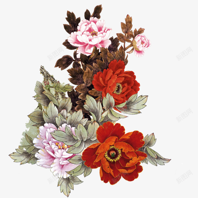 红色花朵玫瑰花白色花朵png免抠素材_新图网 https://ixintu.com 玫瑰花 白色 红色 花朵