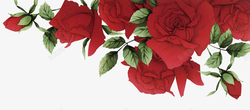 浪漫红玫瑰花边框png免抠素材_新图网 https://ixintu.com 免费素材 浪漫 玫瑰 玫瑰花 素材 花朵
