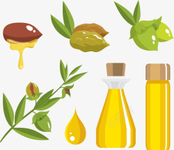 橄榄油的制作工艺素材