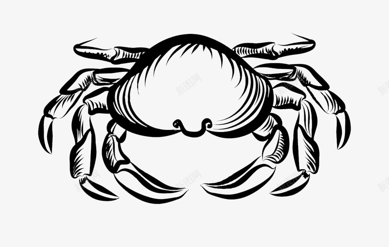 手绘海蟹png免抠素材_新图网 https://ixintu.com 卡通海蟹 卡通蟹 大海蟹 手绘海蟹 海蟹 螃蟹 蟹