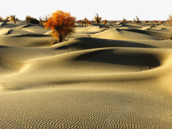 塔克拉玛干沙漠塔克拉玛干沙漠高清图片