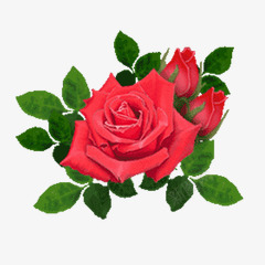 大红玫瑰情人节快乐素材