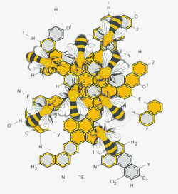 蜜蜂与化学方程式素材