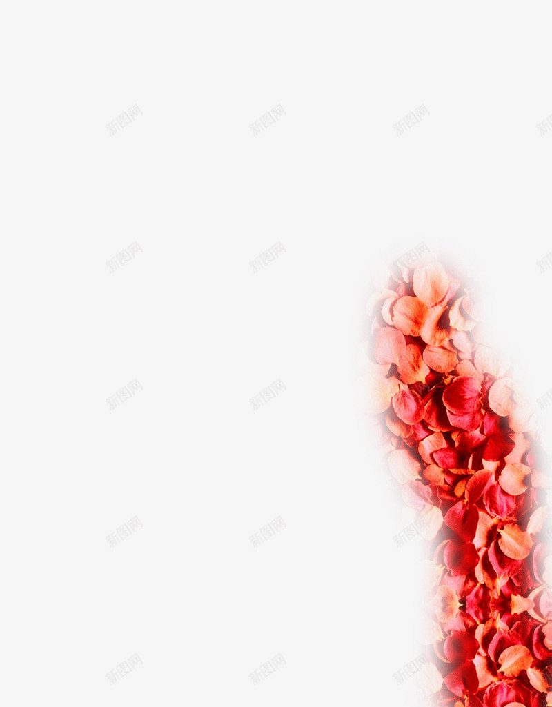 红色玫瑰花花瓣摄影png免抠素材_新图网 https://ixintu.com 摄影 玫瑰花 红色 花瓣