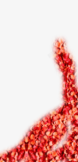 红色玫瑰花花瓣摄影素材
