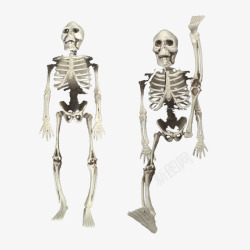 骨头的道具恐怖白色愚人节恶搞骨头道具高清图片