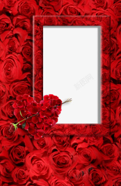 相框玫瑰红色素材