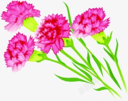 粉色水彩花朵植物母亲节素材