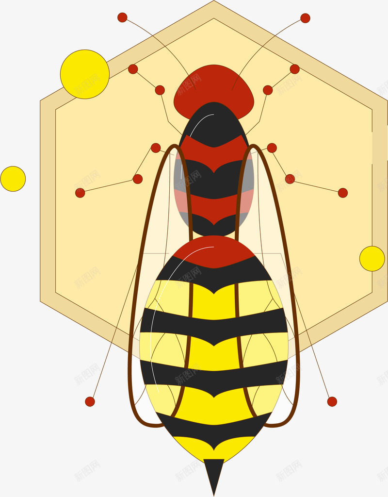 小动物蜂王矢量图eps免抠素材_新图网 https://ixintu.com 动物 卡通 手绘 矢量图 矢量图小动物蜂王 蜂王 蜜蜂 黄色 黄色小蜜蜂