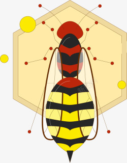 小动物蜂王矢量图素材
