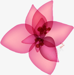 粉色花卉韩式手绘背景png免抠素材_新图网 https://ixintu.com 粉色 背景 花卉