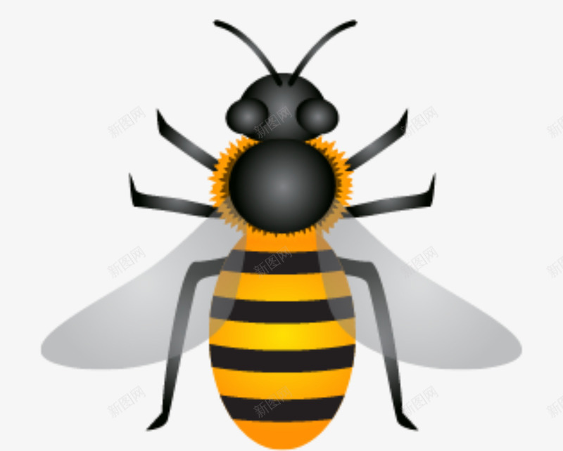 自然蜂毒png免抠素材_新图网 https://ixintu.com 自然 蜂毒 蜇人 蜜蜂 蜜蜂蜂毒 蜜蜂采蜜