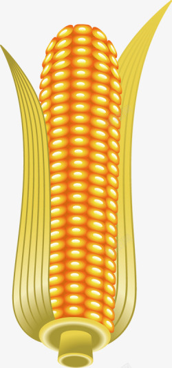 金黄玉米图案素材