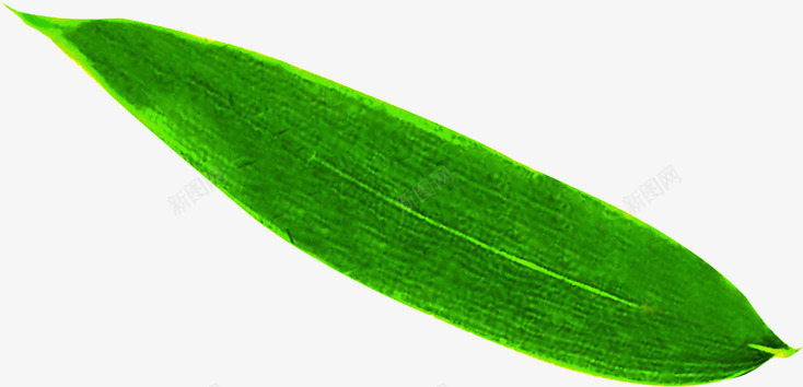 绿色艺术竹叶风光png免抠素材_新图网 https://ixintu.com 竹叶 绿色 艺术 风光
