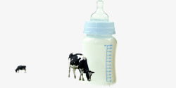 奶瓶和牛素材