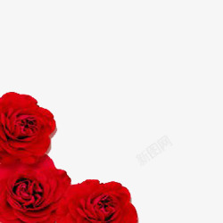三朵红玫瑰边框素材