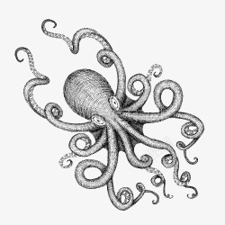 章鱼插图矢量图黑白卡通章鱼海怪插图高清图片