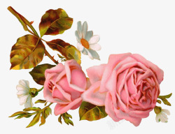唯美手绘鲜花玫瑰素材
