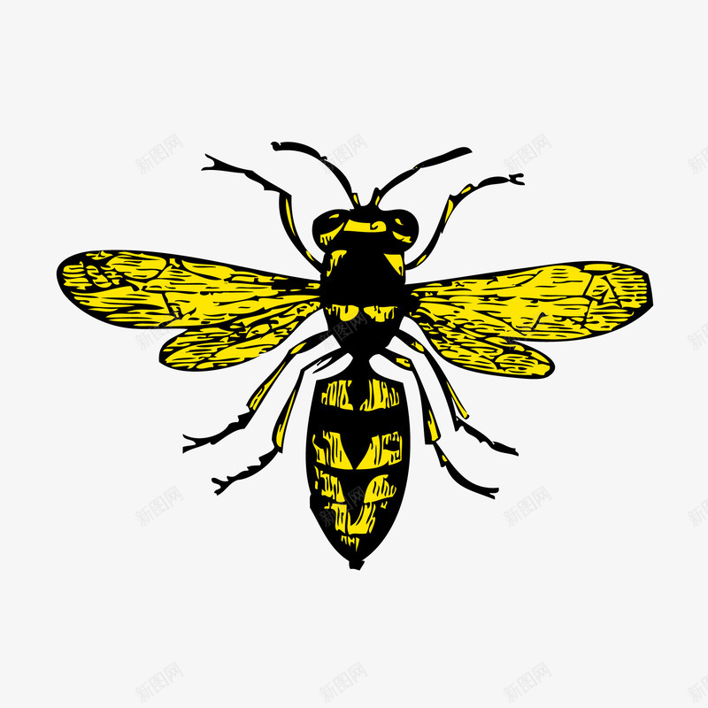 黄黑色蜜蜂矢量图ai免抠素材_新图网 https://ixintu.com 手绘 线条 蜜蜂 黄黑色 矢量图