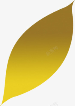 金黄色叶子透明树叶素材