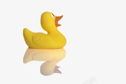 各种动物的叫声黄色绝缘体水中倒影的橡胶鸭实物高清图片