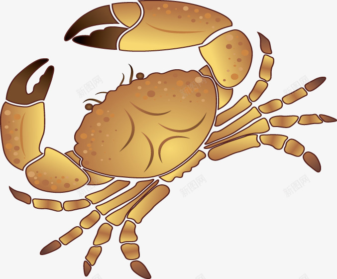 卡通手绘夏日海边螃蟹png免抠素材_新图网 https://ixintu.com 卡通 夏日 海边 螃蟹